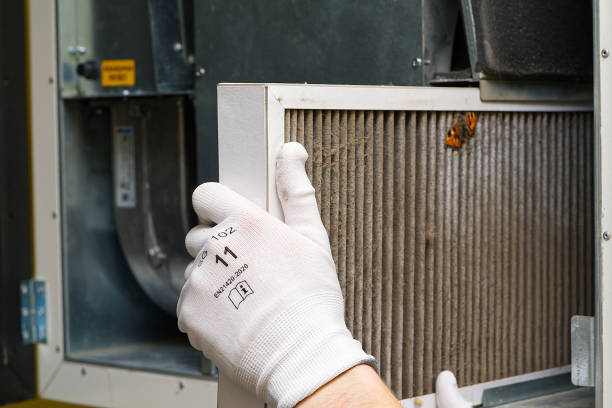 Best Air Duct Cleaning Near Me  in Isanti, MN