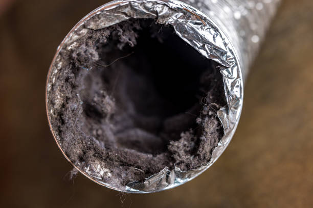 Best Ductwork Cleaning Services  in Isanti, MN