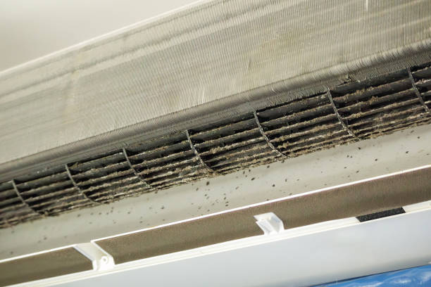 Best Ductwork Cleaning Services  in Isanti, MN